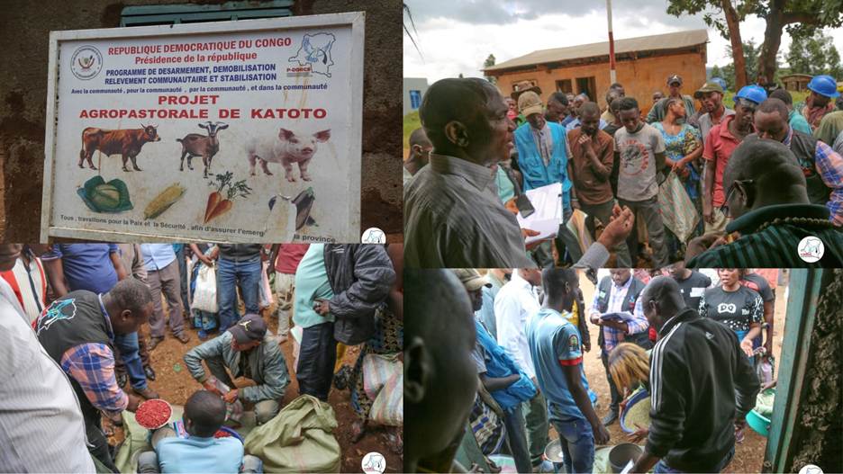 Ituri : À katoto, le P-DDRCS distribue les intrants agricoles aux membres de la communauté et aux ex-combattants pour la phase de semence