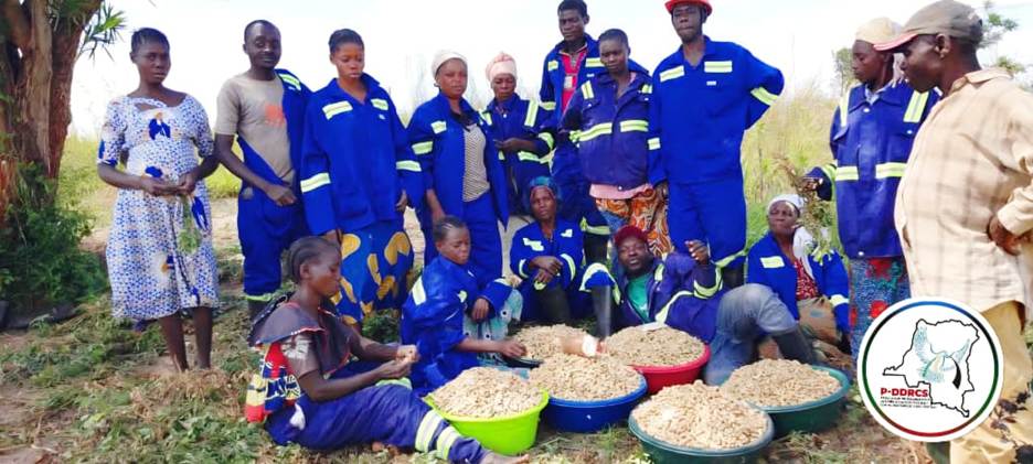 TANGANYIKA : LES BÉNÉFICIAIRES DU PROJET TULIME PAMOJA, POURSUIVENT LA RECOLTE DANS UNE AMBIANCE DE COHÉSION SOCIALE SANS PRÉCÉDENT